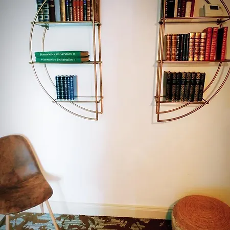 - Chez Axelle 公寓 科尔马